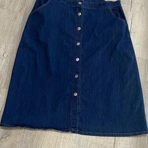 Classic Blue Denim A-Line Skirt